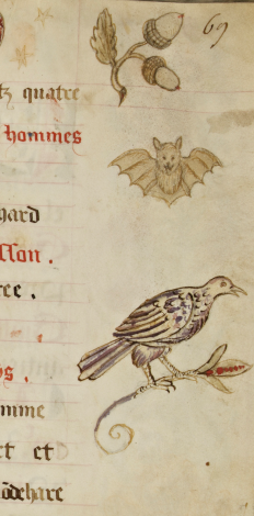 Registre de Saint-Nicolas. Matrologe - décor marginal  - f°69r° - Marge droite - 1588 - détail