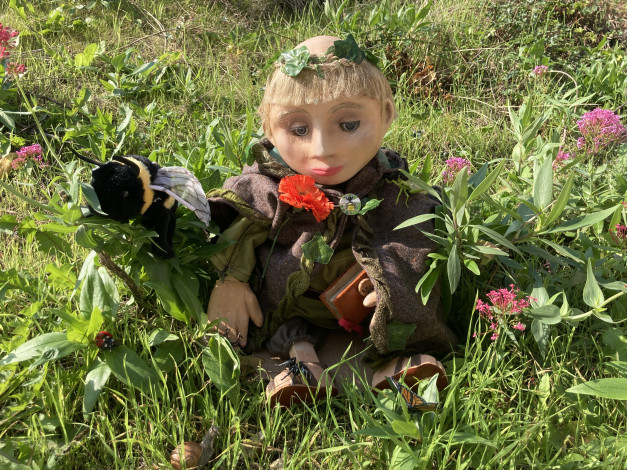 le jardin médicinal de petit Hyacinthe